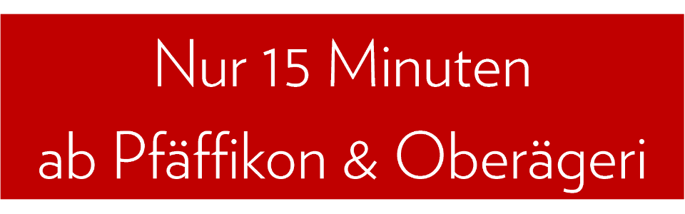 15 Minuten Oberaegeri Pfaeffikon