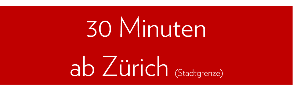 30 Minuten Zuerich